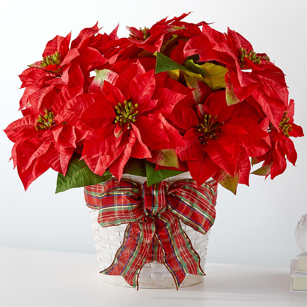 Happiest Holidays Poinsettia – DON'S FLORAL STUDIO, Leon IA