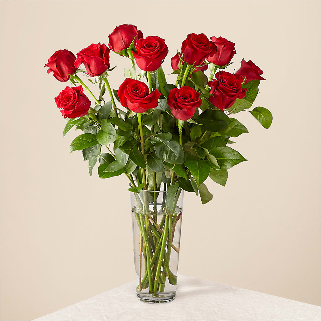 Long Stem Red Rose Bouquet – DON'S FLORAL STUDIO, Leon IA
