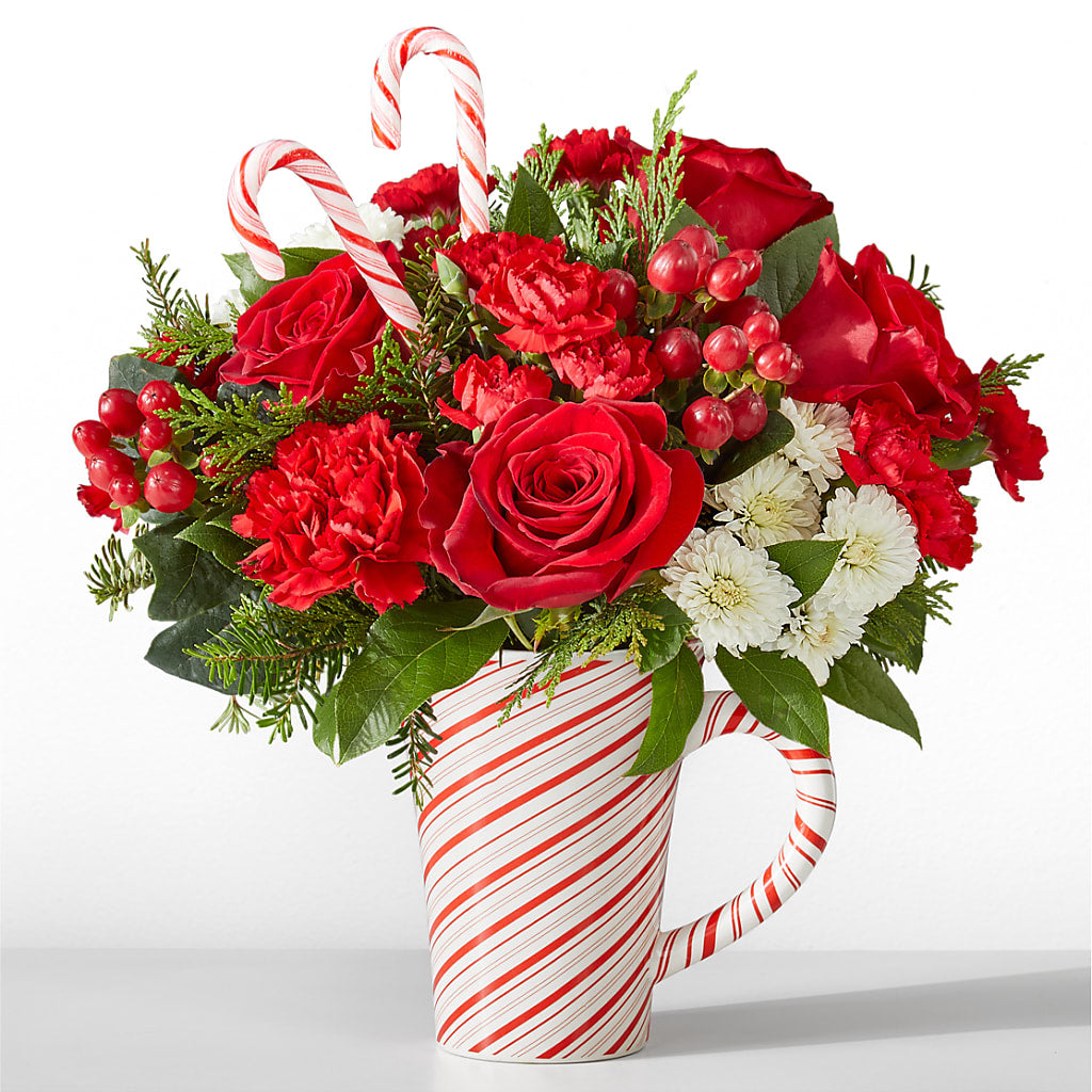 Peppermint Swirl Mug – DON'S FLORAL STUDIO, Leon IA