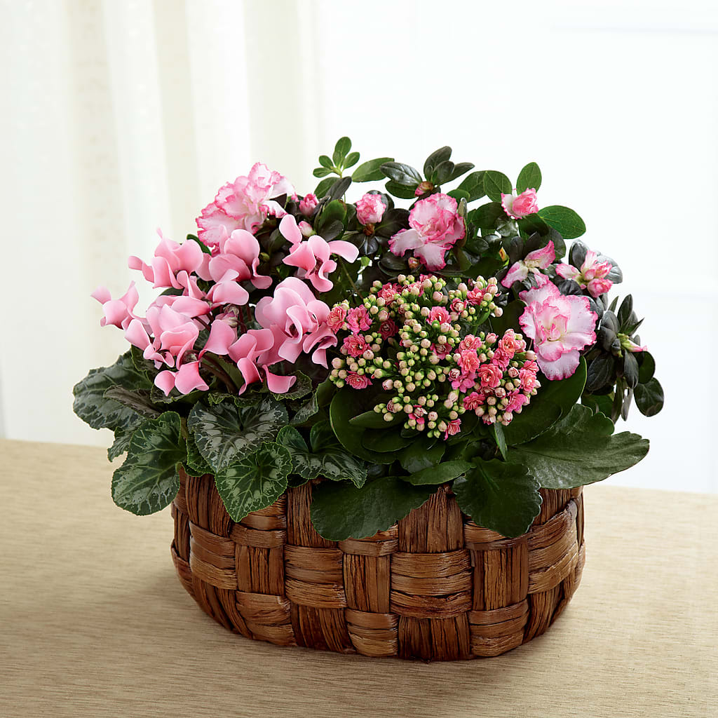 Pink Assortment – DON'S FLORAL STUDIO, Leon IA