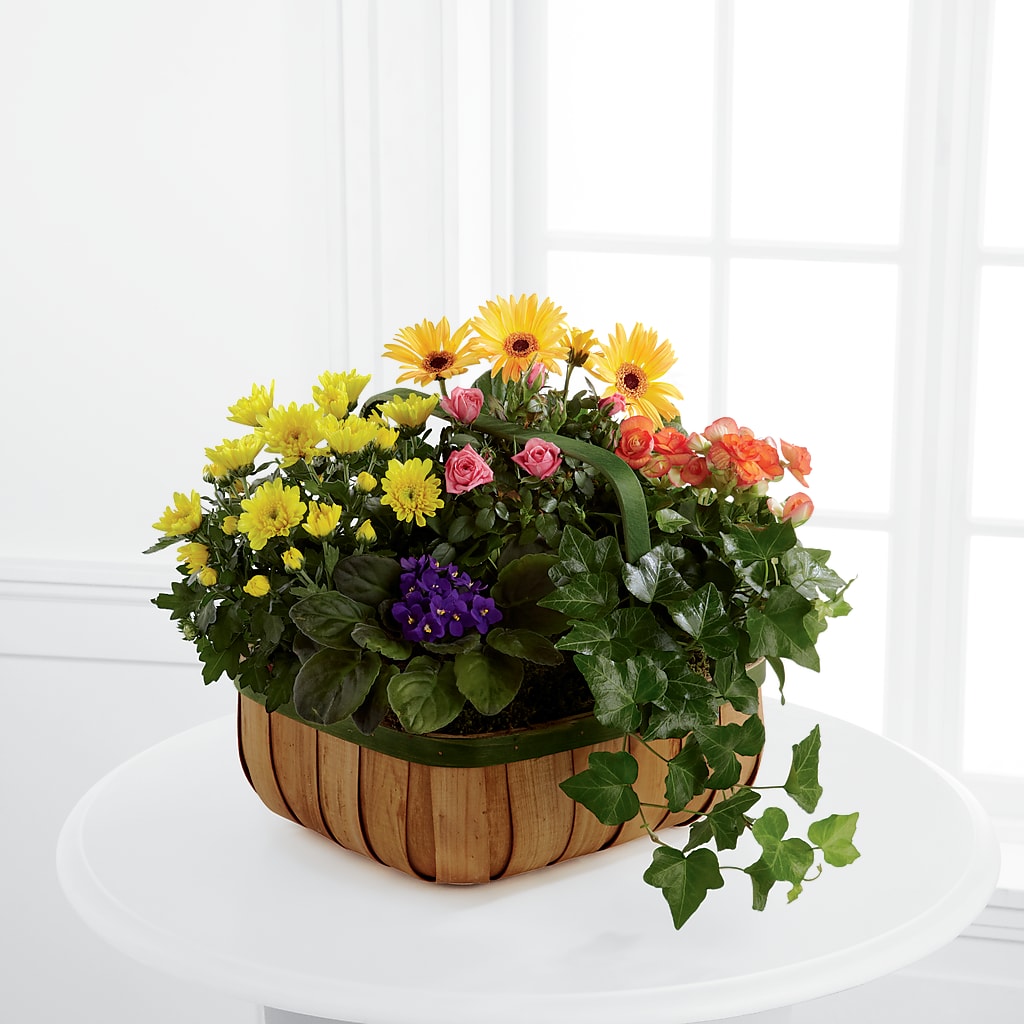 Gentle Blossoms Basket – DON'S FLORAL STUDIO, Leon IA