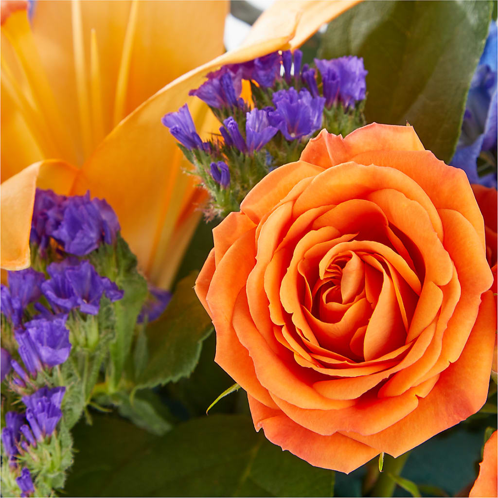 Radiant Citrus Box Bouquet – DON'S FLORAL STUDIO, Leon IA
