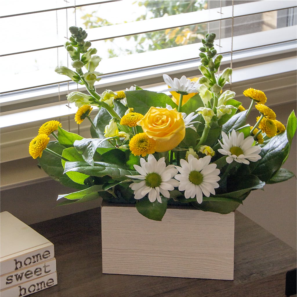 Sun Salutation Box Bouquet – DON'S FLORAL STUDIO, Leon IA
