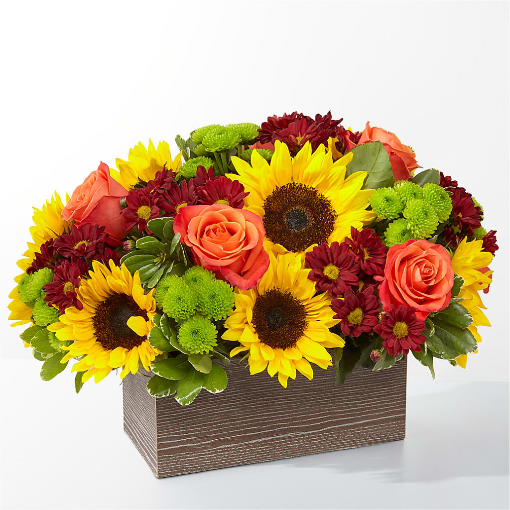 Happy Harvest Garden – DON'S FLORAL STUDIO, Leon IA