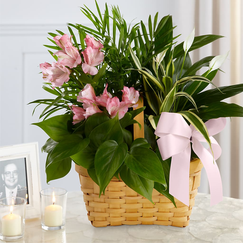 Living Spirit Dishgarden – DON'S FLORAL STUDIO, Leon IA