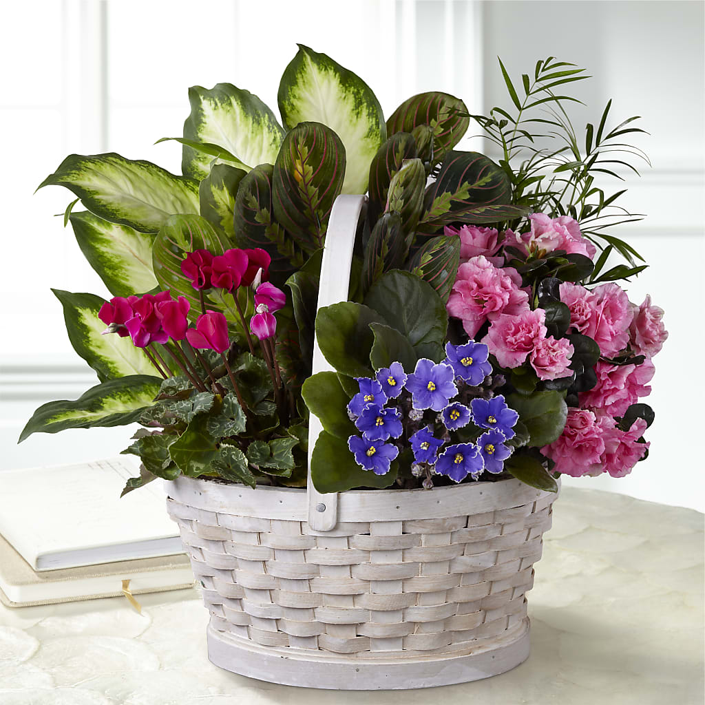 Peaceful Garden Planter – DON'S FLORAL STUDIO, Leon IA