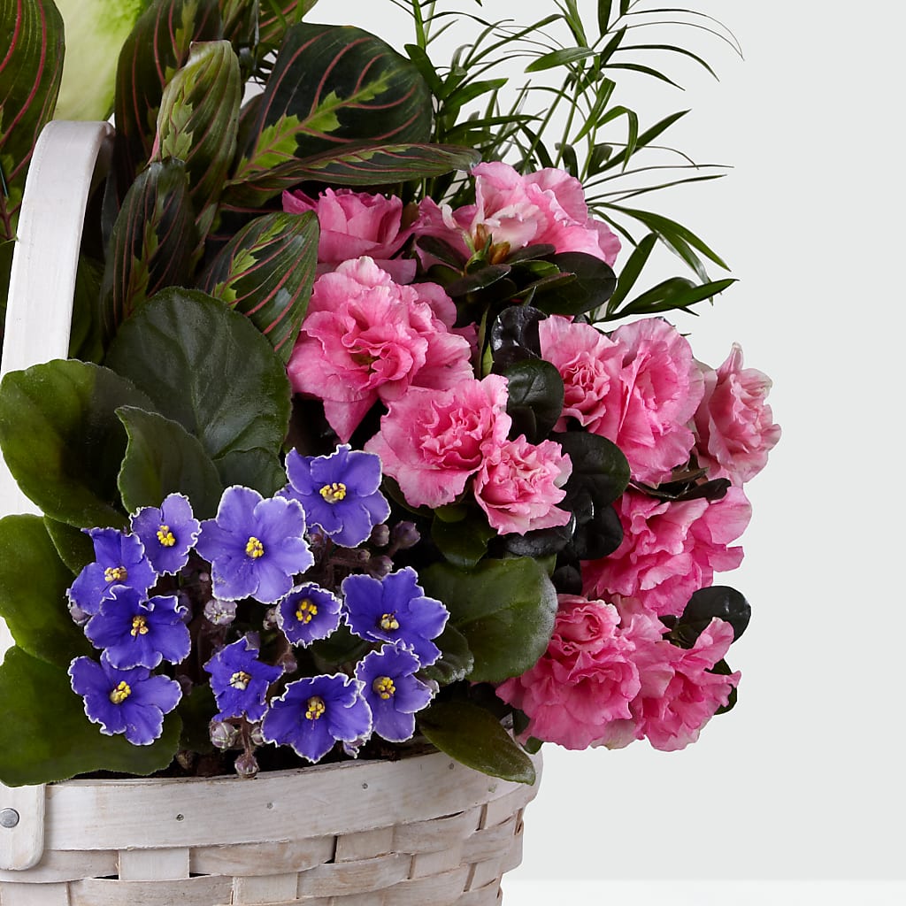 Peaceful Garden Planter – DON'S FLORAL STUDIO, Leon IA
