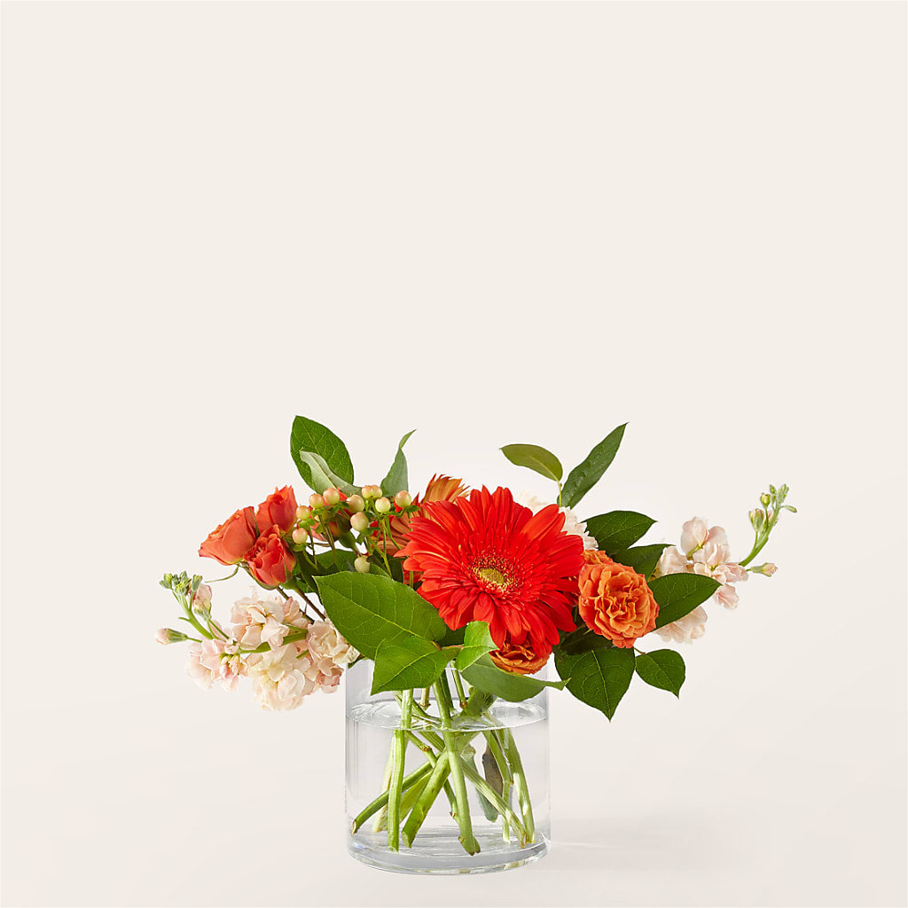 Paloma Please Bouquet – DON'S FLORAL STUDIO, Leon IA