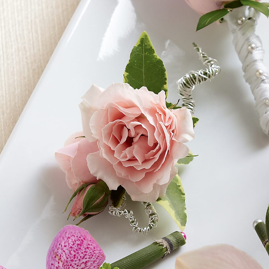 Pink Spray Rose Boutonniere – DON'S FLORAL STUDIO, Leon IA
