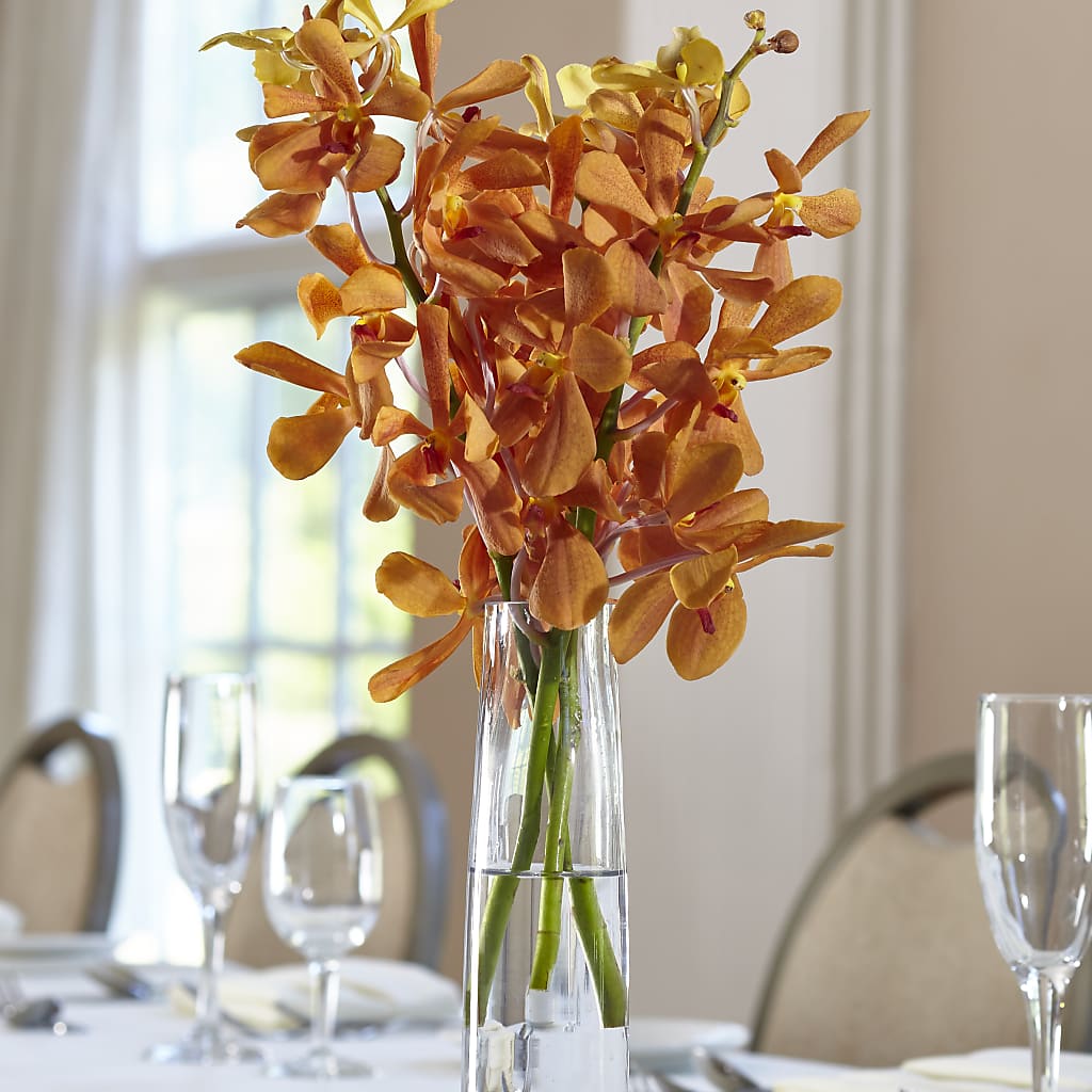 Orange Mokara Bud Vase – DON'S FLORAL STUDIO, Leon IA