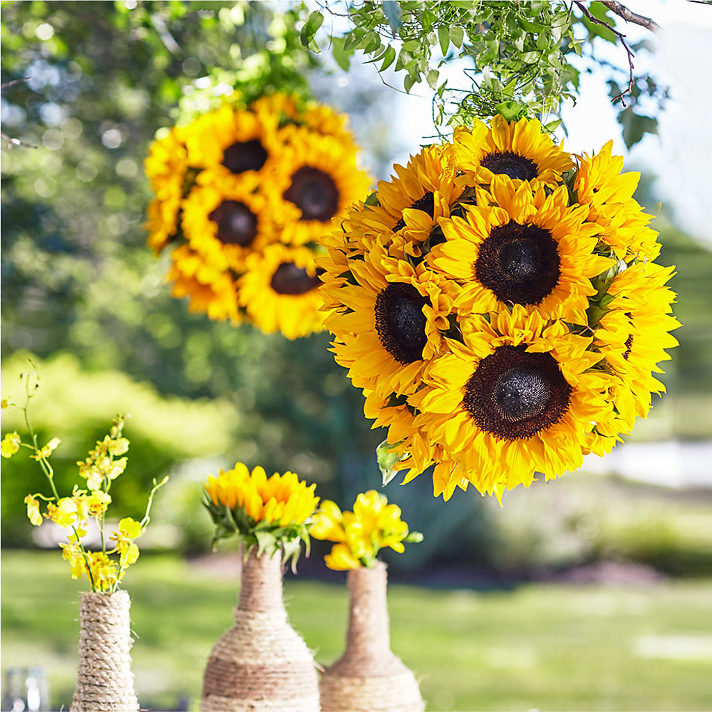 Sublime Garden Hanging Arrangement – DON'S FLORAL STUDIO, Leon IA