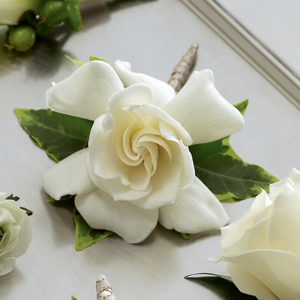 Gardenia Boutonniere – DON'S FLORAL STUDIO, Leon IA