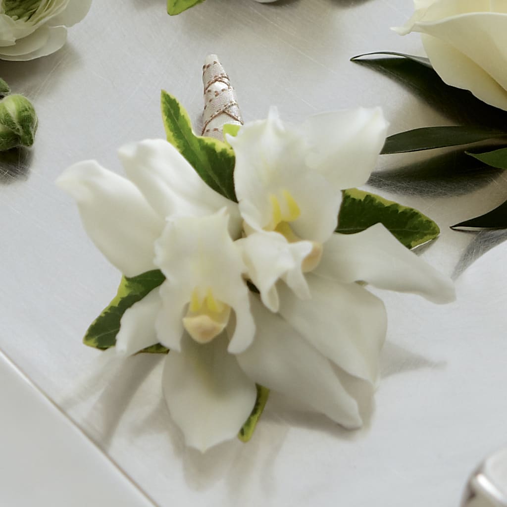 White Mini Cymbidium Boutonniere – DON'S FLORAL STUDIO, Leon IA
