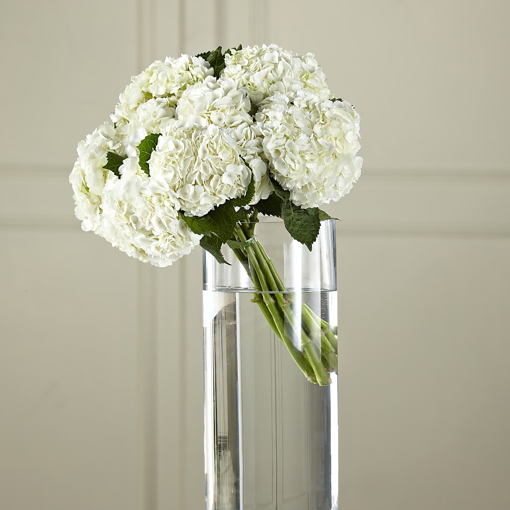 White Hydrangea Hand-Tied Bouquet – DON'S FLORAL STUDIO, Leon IA