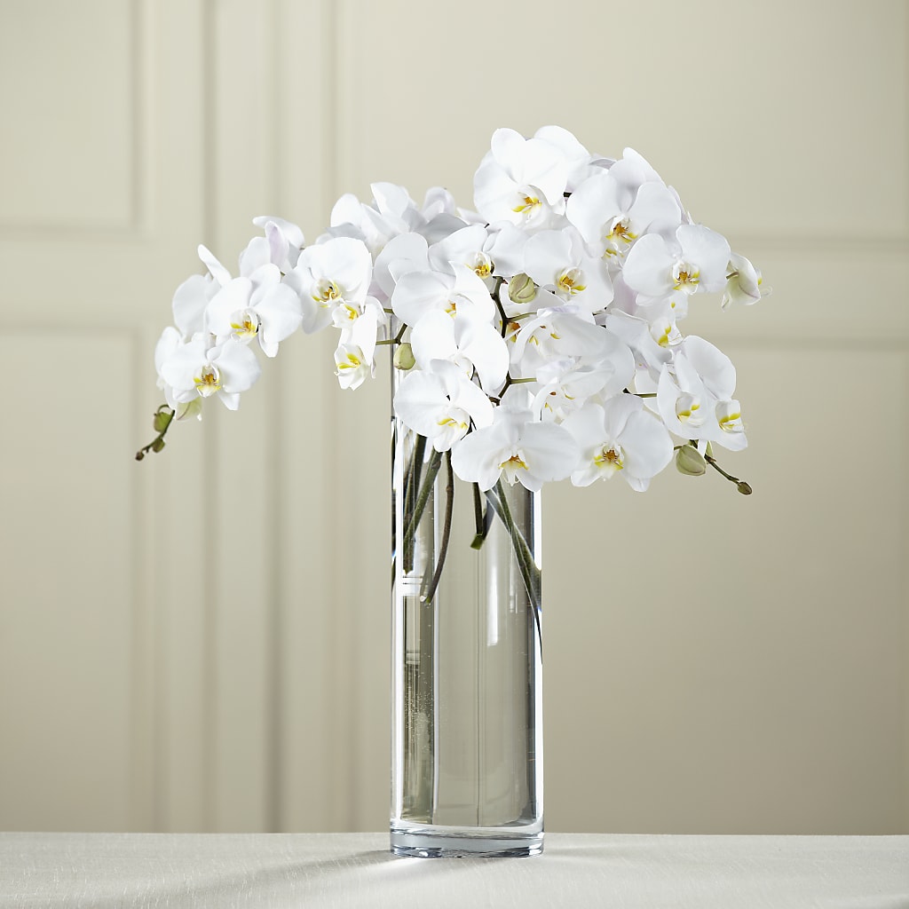 White Phalaenopsis Bouquet – DON'S FLORAL STUDIO, Leon IA