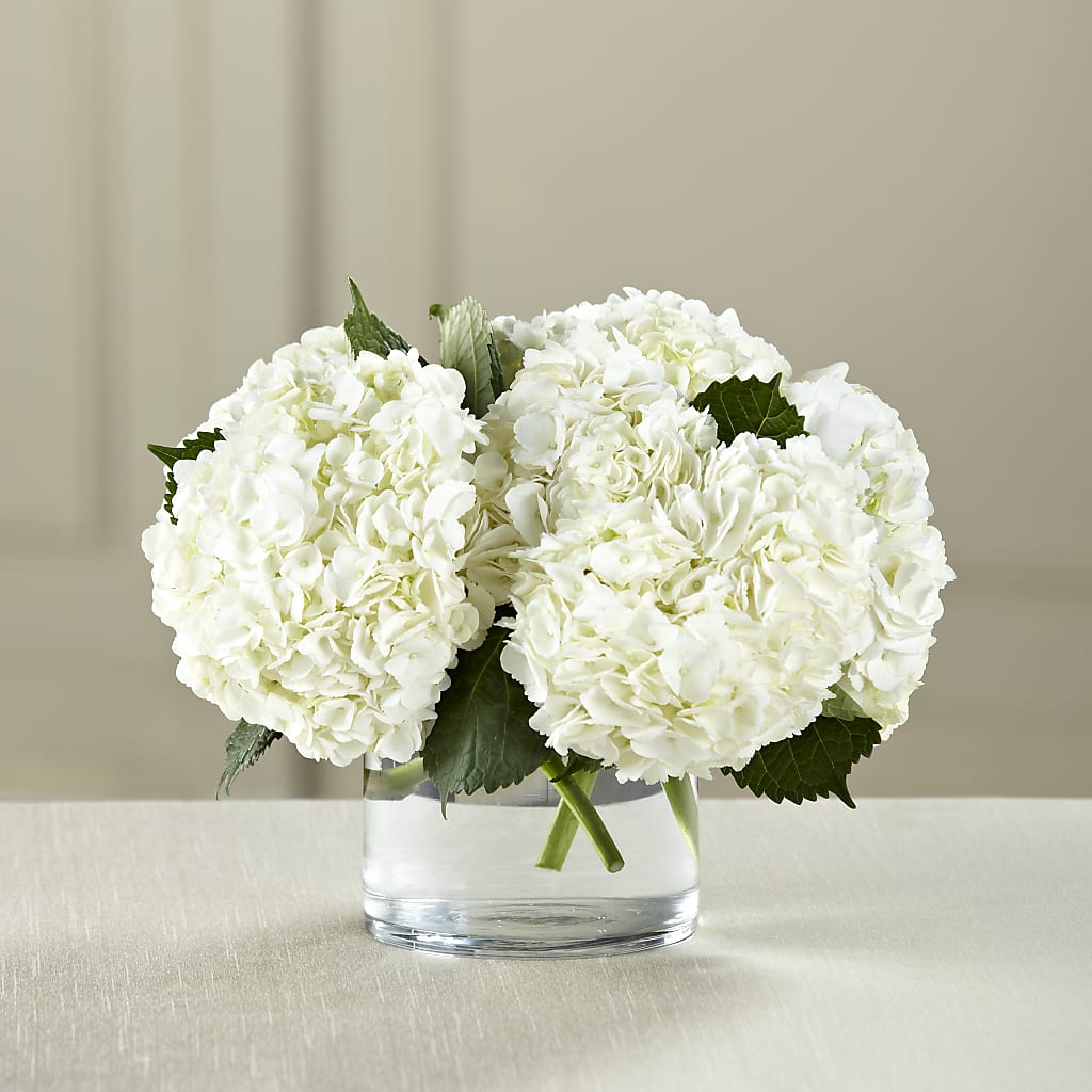 White Hydrangea Bouquet – DON'S FLORAL STUDIO, Leon IA