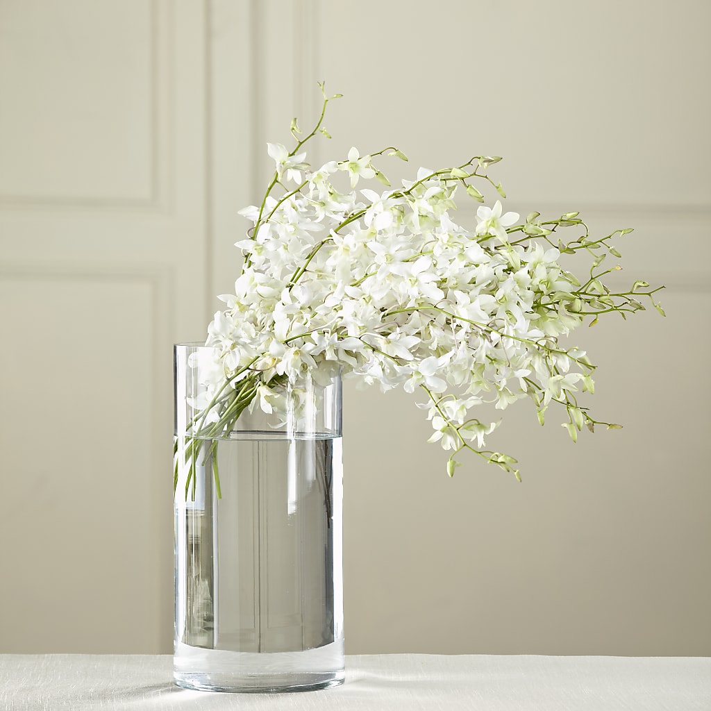 White Dendrobium Bouquet – DON'S FLORAL STUDIO, Leon IA