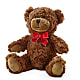 Adorable Plush Bear – DON'S FLORAL STUDIO, Leon IA