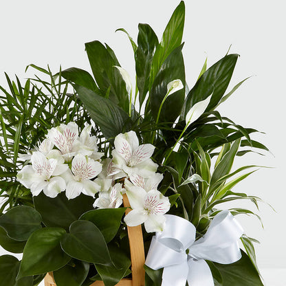 Peace & Serenity Dishgarden – DON'S FLORAL STUDIO, Leon IA
