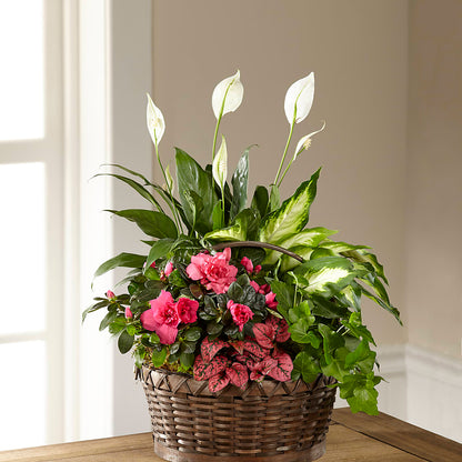Dream in Pink Dishgarden – DON'S FLORAL STUDIO, Leon IA
