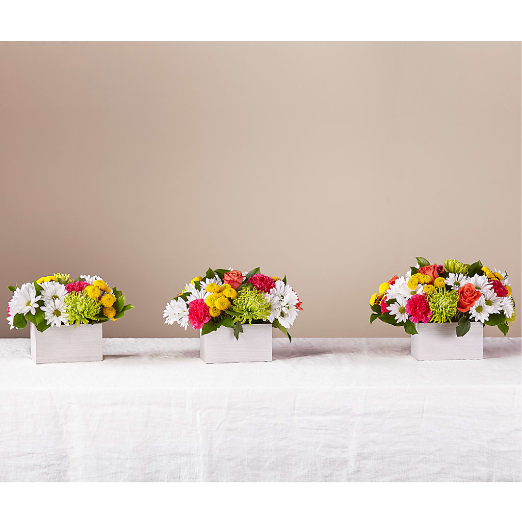 Sorbet Bouquet – DON'S FLORAL STUDIO, Leon IA