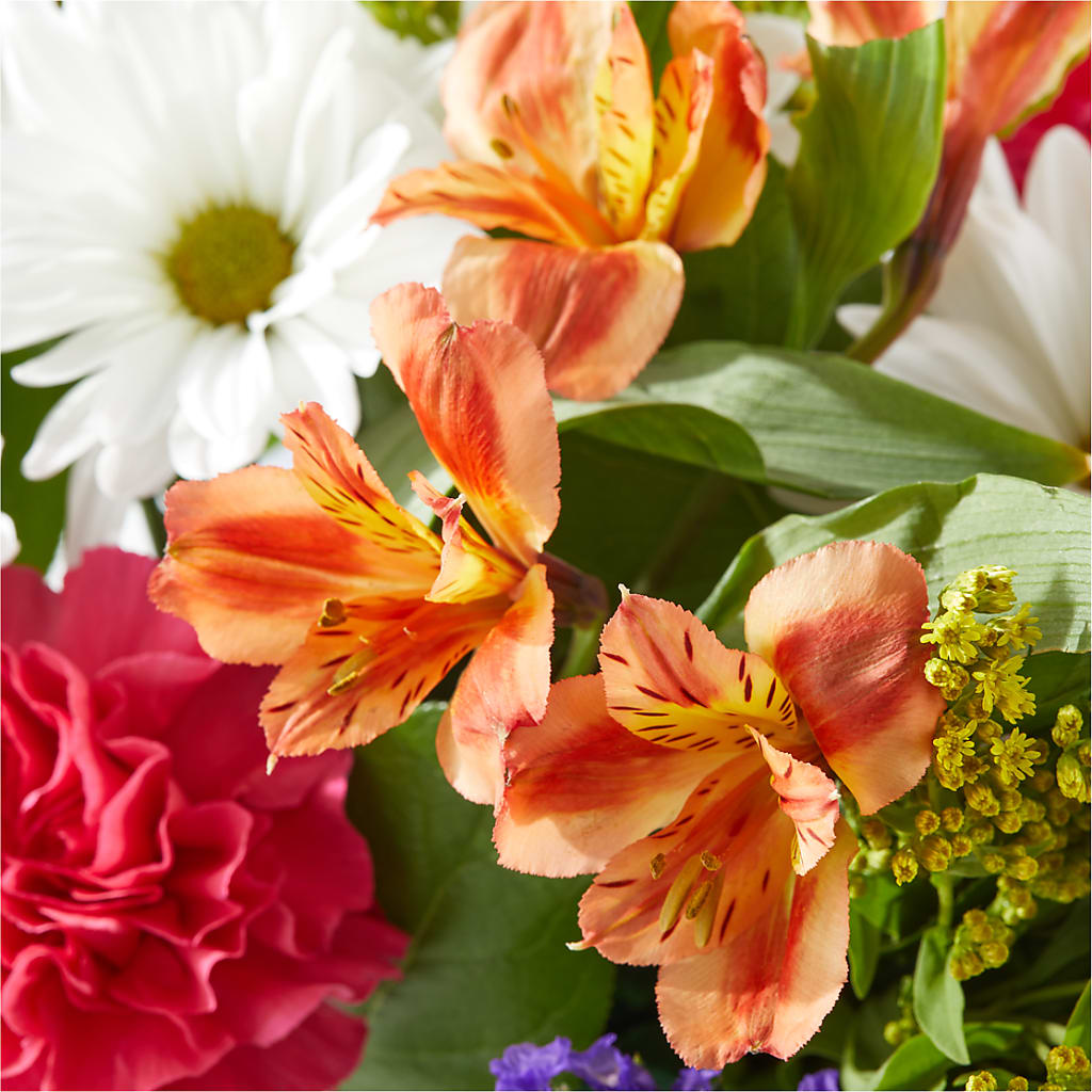 Oopsie Daisy Box Bouquet – DON'S FLORAL STUDIO, Leon IA