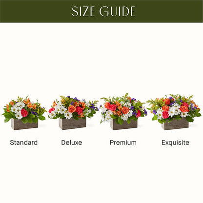 Oopsie Daisy Box Bouquet – DON'S FLORAL STUDIO, Leon IA