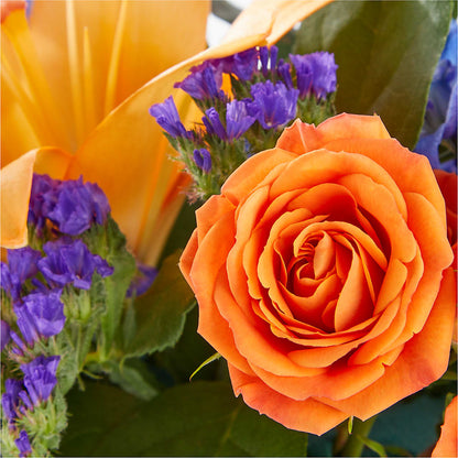 Radiant Citrus Box Bouquet – DON'S FLORAL STUDIO, Leon IA