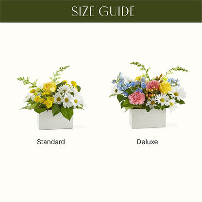 Sun Salutation Box Bouquet – DON'S FLORAL STUDIO, Leon IA
