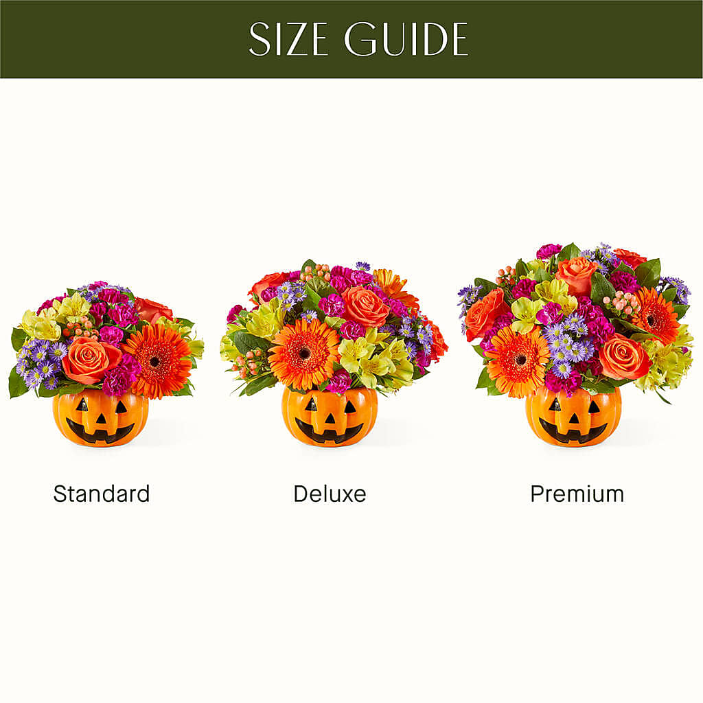 Tricks & Treats Pumpkin – DON'S FLORAL STUDIO, Leon IA