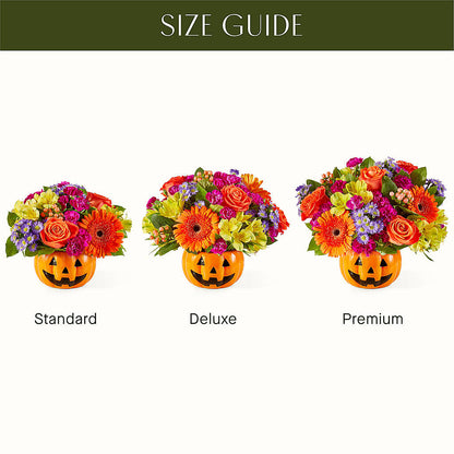 Tricks & Treats Pumpkin – DON'S FLORAL STUDIO, Leon IA