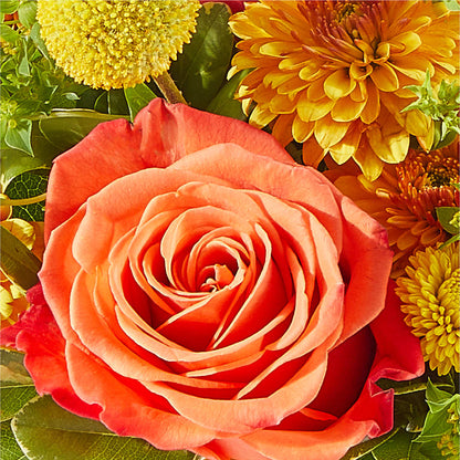 Gourdgeous Pumpkin – DON'S FLORAL STUDIO, Leon IA
