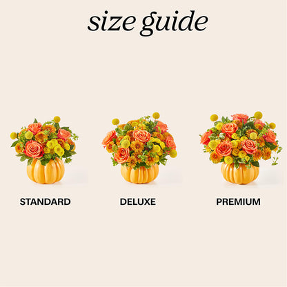 Gourdgeous Pumpkin – DON'S FLORAL STUDIO, Leon IA