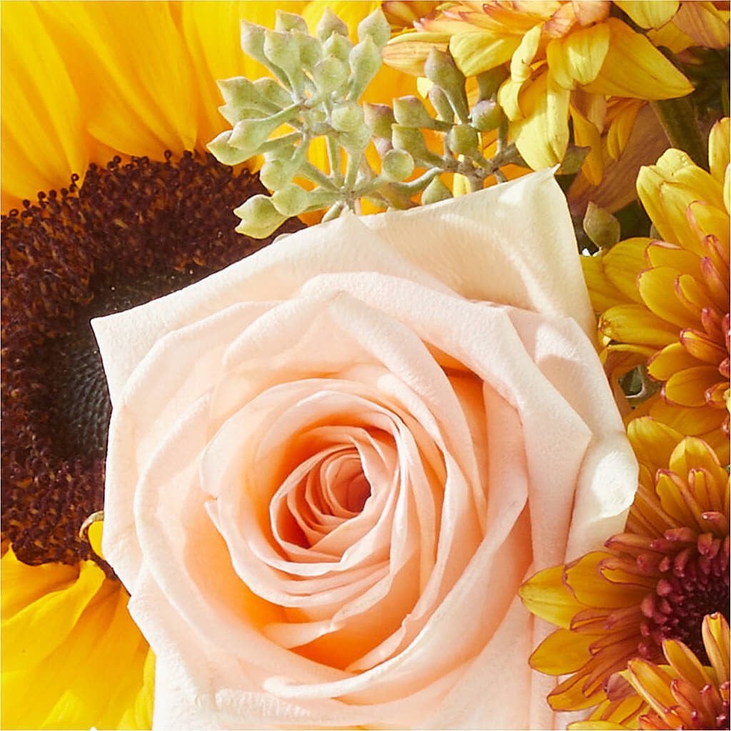 Pumpkin to Talk About Bouquet – DON'S FLORAL STUDIO, Leon IA