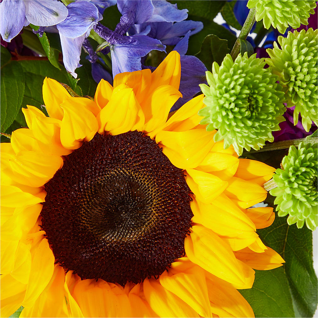 Catching Rays Bouquet – DON'S FLORAL STUDIO, Leon IA