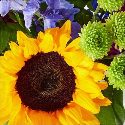 Catching Rays Bouquet – DON'S FLORAL STUDIO, Leon IA