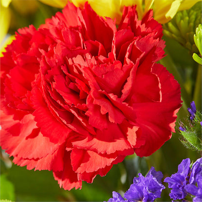 Brighter Days Bouquet – DON'S FLORAL STUDIO, Leon IA