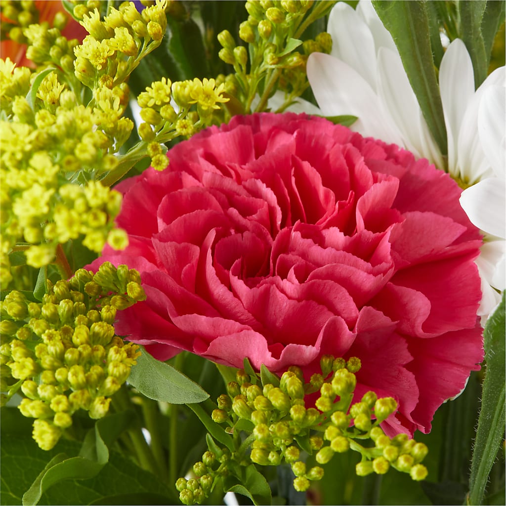 Oopsie Daisy Bouquet – DON'S FLORAL STUDIO, Leon IA