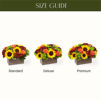 Happy Harvest Garden – DON'S FLORAL STUDIO, Leon IA