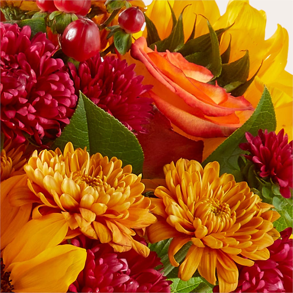 Sweater Season - A Florist Original – DON'S FLORAL STUDIO, Leon IA