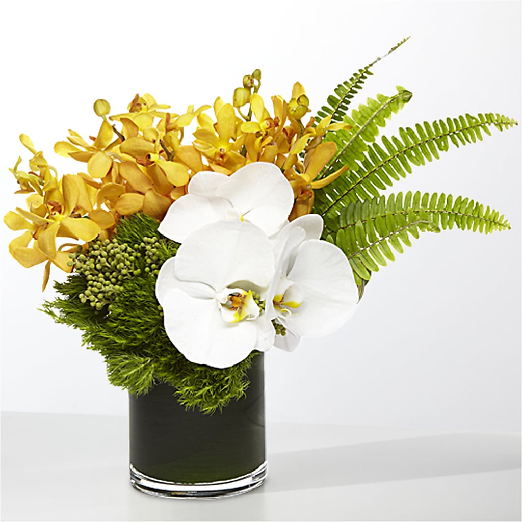The Tropics – DON'S FLORAL STUDIO, Leon IA