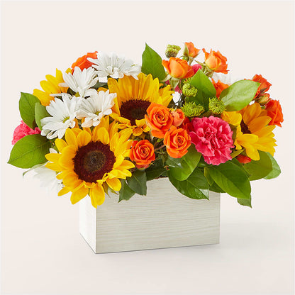 Sun-drenched Blooms Box Bouquet – DON'S FLORAL STUDIO, Leon IA