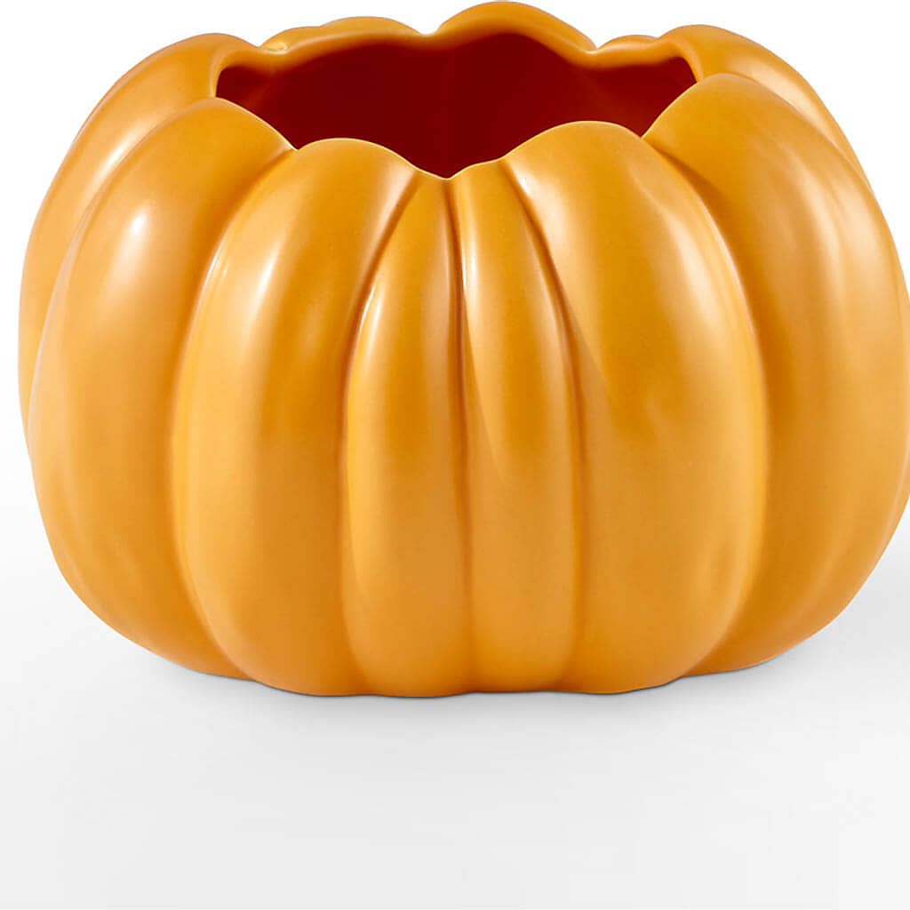Golden Gourd Pumpkin Bouquet – DON'S FLORAL STUDIO, Leon IA