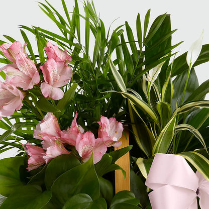 Living Spirit Dishgarden – DON'S FLORAL STUDIO, Leon IA