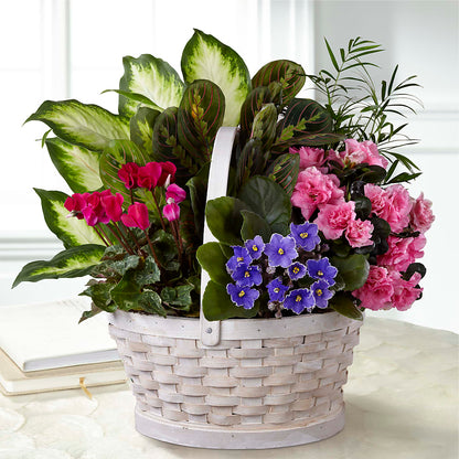 Peaceful Garden Planter – DON'S FLORAL STUDIO, Leon IA
