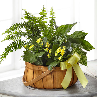 Always Dear Dishgarden – DON'S FLORAL STUDIO, Leon IA