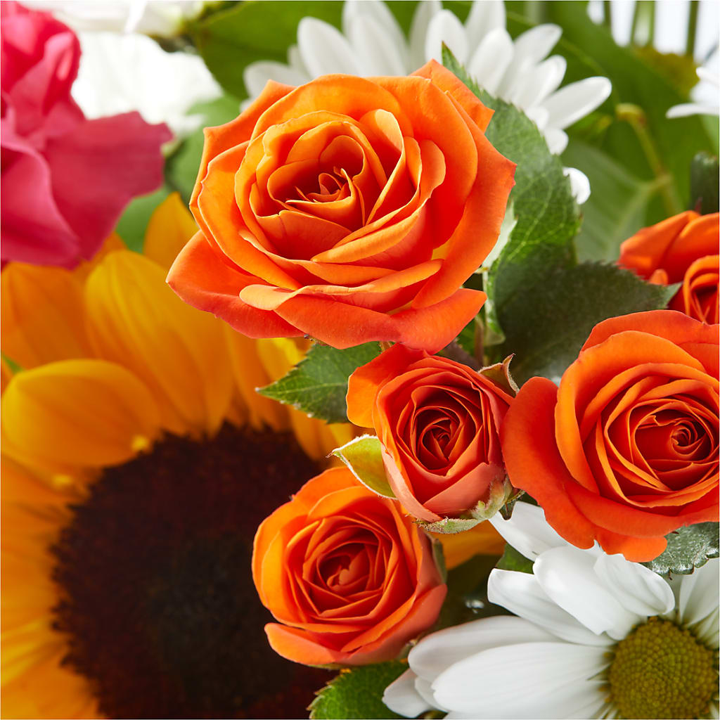 Sun-drenched Blooms Bouquet – DON'S FLORAL STUDIO, Leon IA