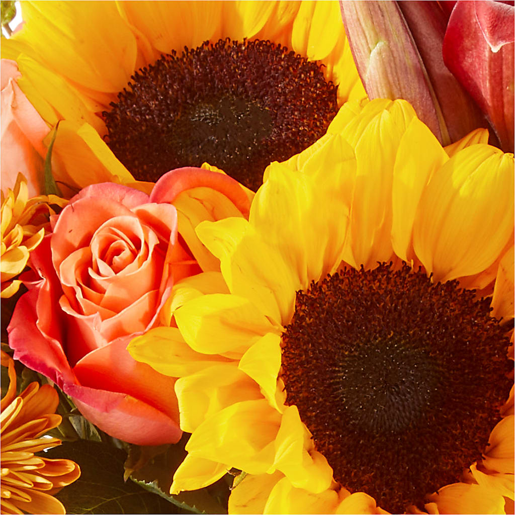 Acorn Lane Bouquet – DON'S FLORAL STUDIO, Leon IA
