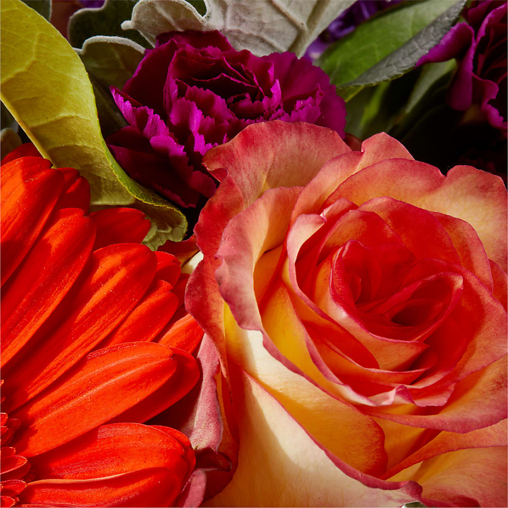 Sangria Bouquet – DON'S FLORAL STUDIO, Leon IA