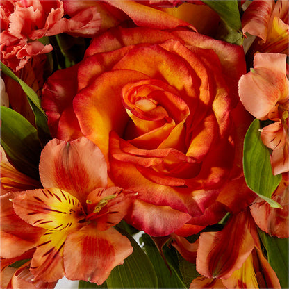 Apricot Glow Bouquet – DON'S FLORAL STUDIO, Leon IA